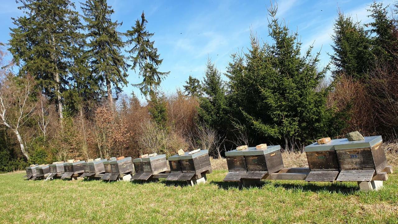 Ferienwohnung Gruengut Weckersdorf Dış mekan fotoğraf